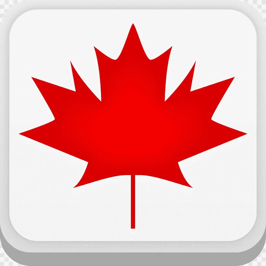 Лист канадского клена. Кленовый лист канала флаг. Кленовый лист на флаге Канады. Канадский кленовый лист символ. Красный кленовый лист Канада.