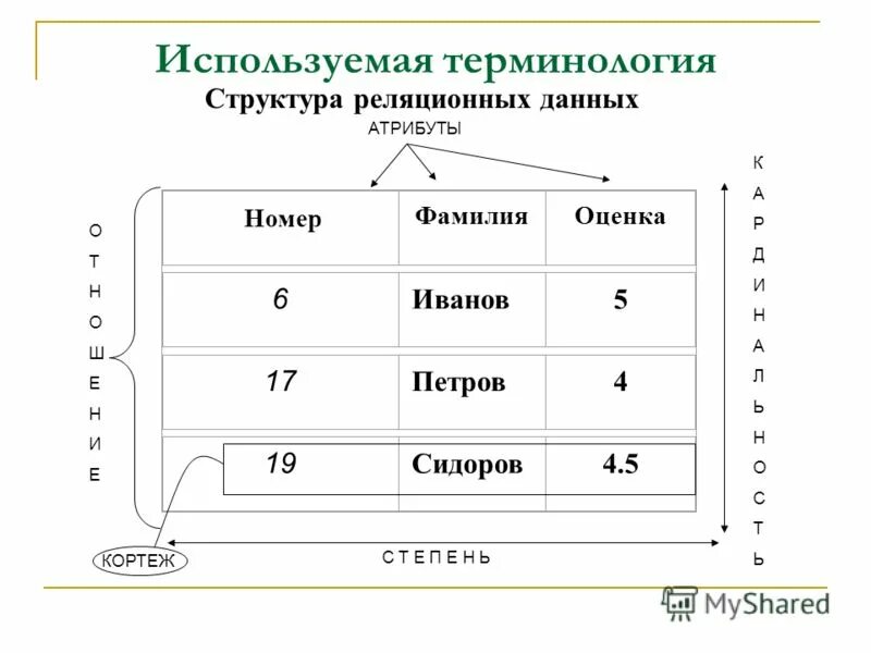 Термин используемый