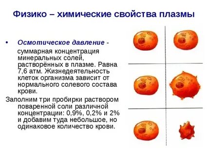 Плазма определение состав