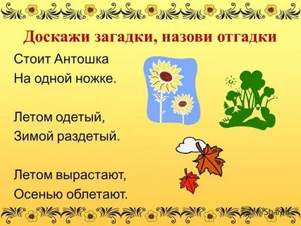 Вырастают облетают загадка восстановить