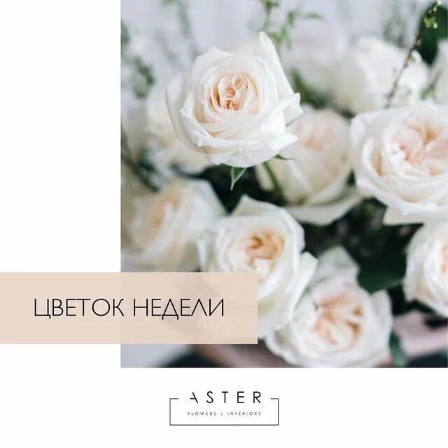 Цветы каждую неделю. Цветочная подписка на месяц. Цветы каждую неделю. С юбилеем 30 лет цветы. Цветы каждую неделю.