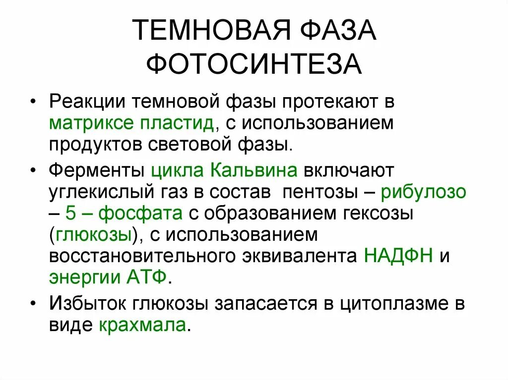 Образование атф темновая фаза. Темновая стадия. Темновая фаза фотосинтеза. Продукты Темновой фазы. Фотосинтез схема световая фаза и темновая.