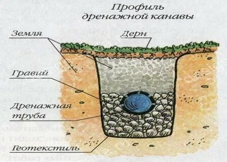 Уровни почвы
