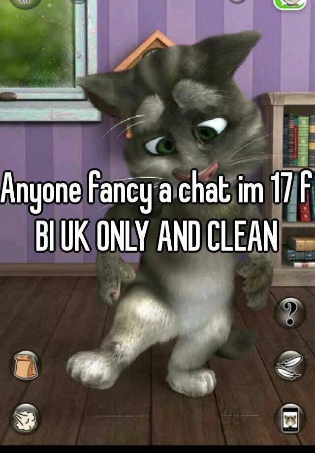 Нет игра кот. Игра talking tom cat ( 3. talking tom cat 2. talking tom cat 2011. talking tom cat 2 2011 года.