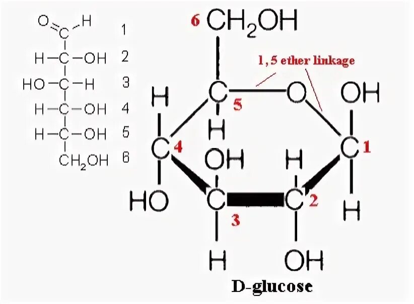 Structure of maltose. Glucose biology. Манноза 6 фосфат. Glucose biology. D -глюкоза структура.