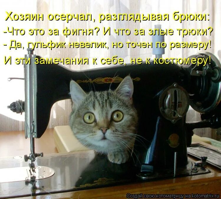 Каплевидный щит (тарч),. Не шитом деланный. Не шитом деланный. Швейная машинка чайка 142 нижняя нитка петлями. Выражение не лыком шит.