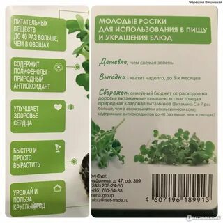 Инструкция по выращиванию микрозелени