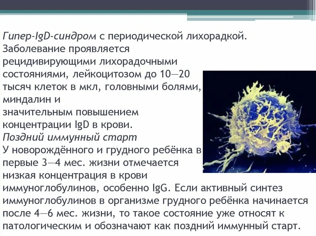 Диэнцефальный криз. Гипер igm синдром. Гипер синдром. Гипер igm синдром клиника. Синдром гиперпродукции ige.
