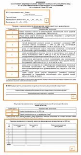 Содержание индивидуального лицевого счета застрахованного лица