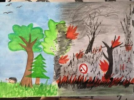 Картинки на тему берегите природу