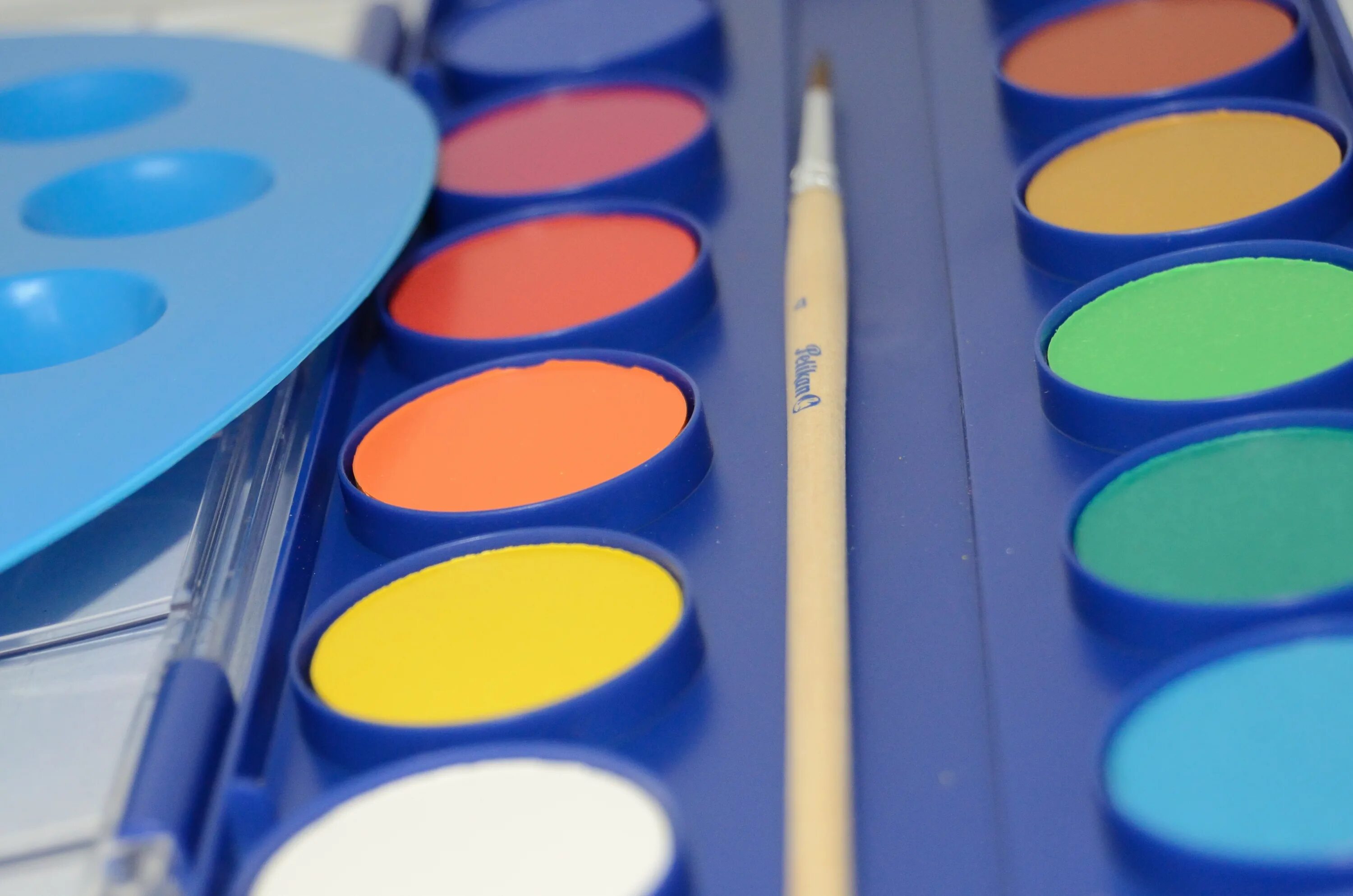 Карандаши цветные. Лаборатория для смешивания красок. Краски акварельные №1 school шустрики 12 цв б/кисти пластик. Краски школа. Картинки красками.