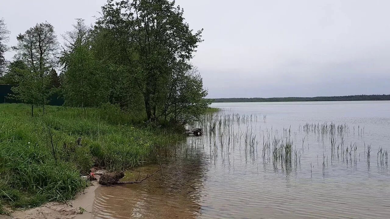 Рубское озеро ивановская область. Рубское озеро ивановская область. Хорошо на рубском. Озеро рубское банкет. Рубское озеро пляж.