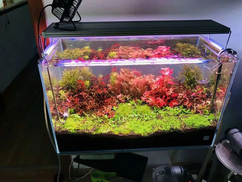 Smart aquarium light stand. Чихирос а901. Светильник chihiros wrgb 2. Аквариум 95 см. 10 литровый аквариум для ратана.