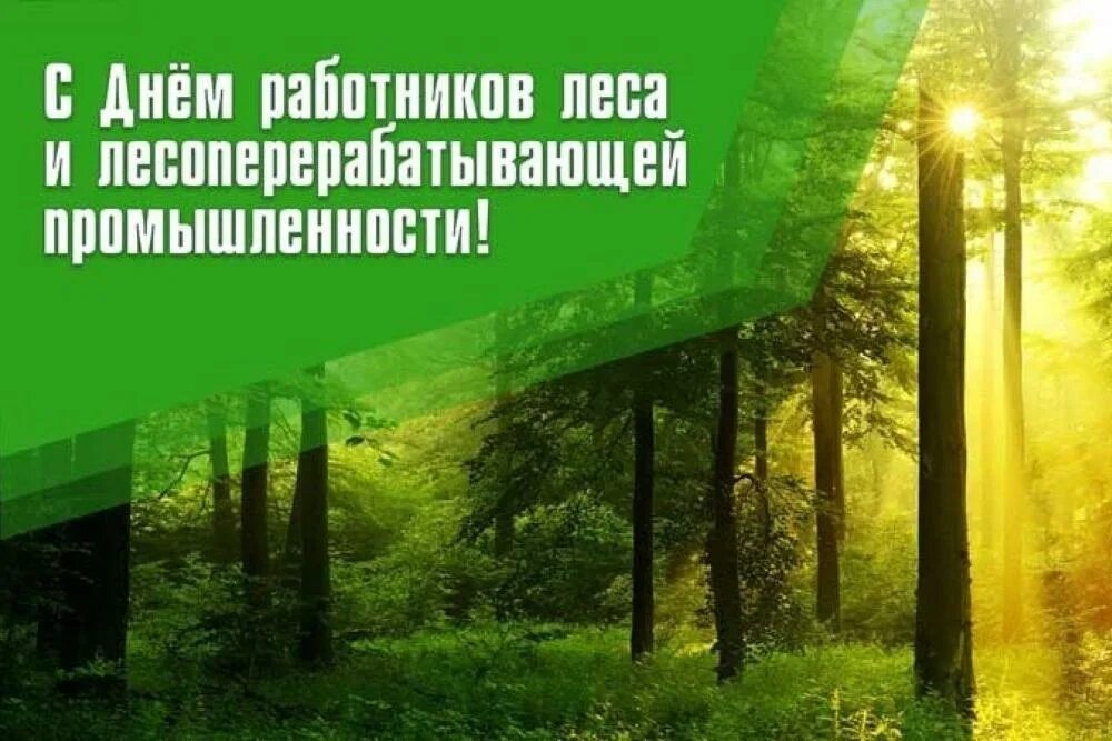День работника леса 2023. День работника леса 2023. День работника леса 2023. День леса. С праздником работников леса.