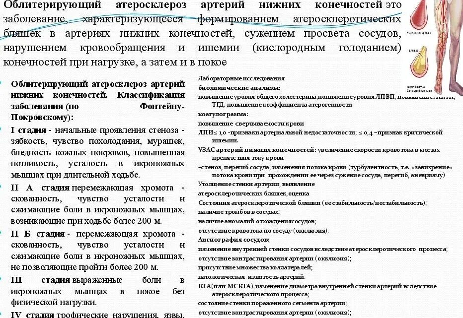Атеросклероз нижних конечностей лечение препараты мази. Облитерирующий атеросклероз артерий нижних конечностей лечение. облитерирующий атеросклероз план обследования. атеросклероз сосудов нижних конечностей лечение препараты. осложнение атеросклероза бедренных артерий.