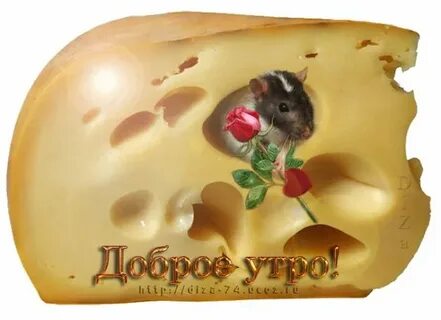 С добрым утром картинки прикольные гифки смешные