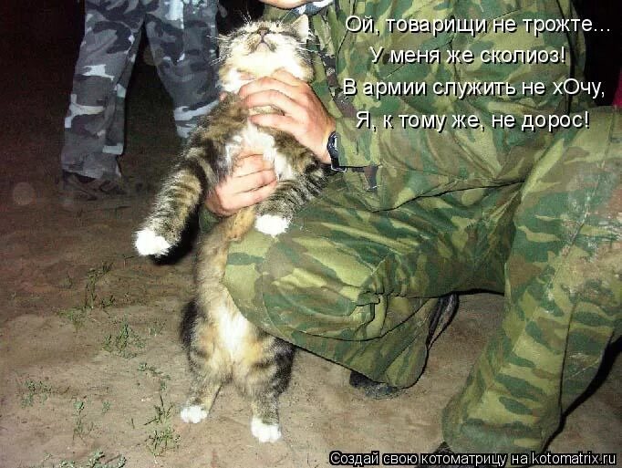 Демотиватор девушки в российской армии. На работу не возьмут не служившего. Спящий солдат на посту. Взял работу на дом. Нп служил не мужик мемы.