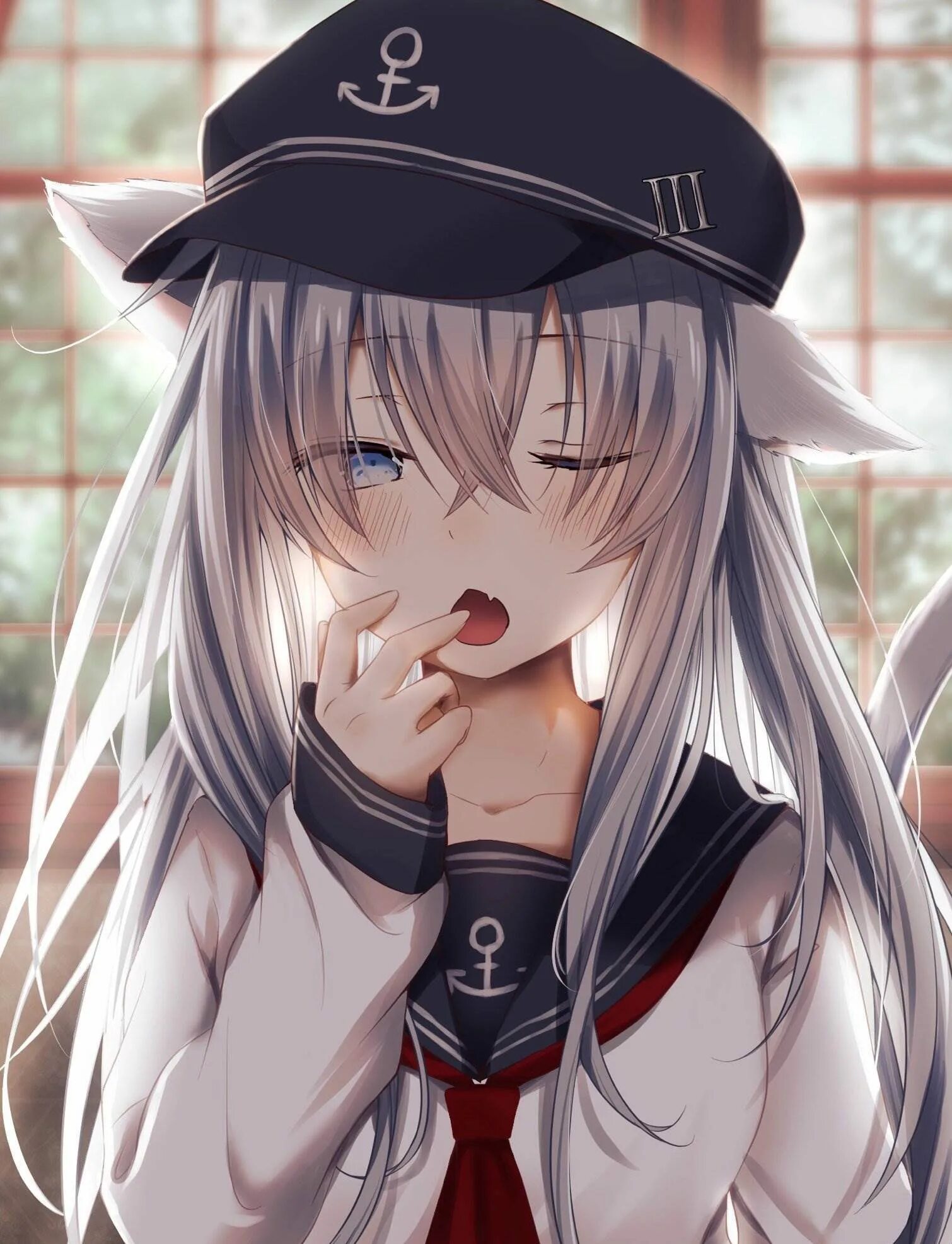 Хибики неко. Хибики Кантай Neko. Hibiki kantai неко. Оним это