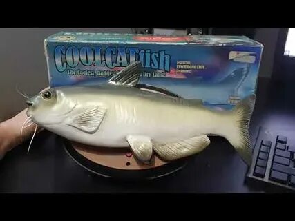 Fish sing перевод