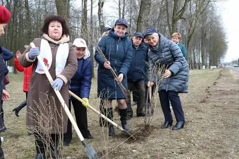 Погода большое вороново