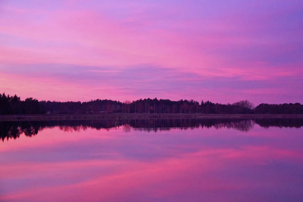 Розовый закат. Фиолетовый закат. Сиреневый закат. Фиолетовая река.