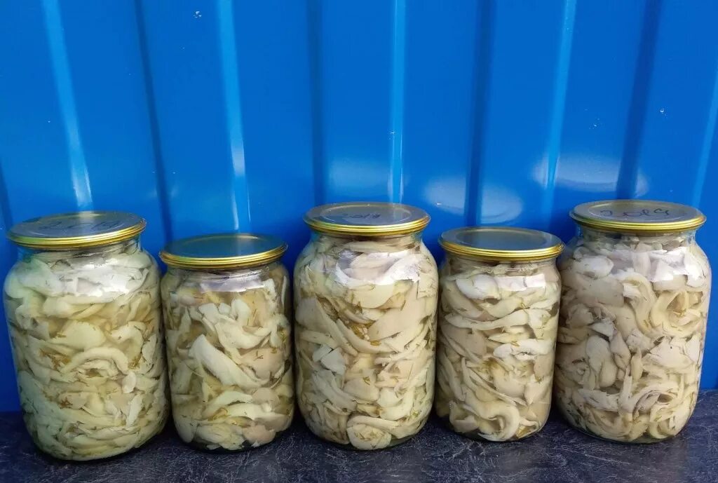 Как вкусно замариновать грибы вешенки. Вешенки в банке. грибы вешенки в банке. вешенки консервированные. маринованные грибы в банке вешенки.