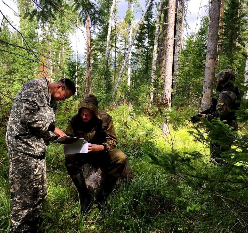 Охрана лесов в россии