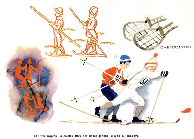 Перспективы лыжного спорта. История возникновения лыжного спорта. История лыжного спорта рисунок. Древние лыжники. Эволюция лыжника.