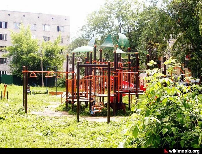 Сказочная детская площадка. Пушкино детская площадка. Яркая детская площадка. Детские площадки в подмосковье. Детская площадка пушкино.