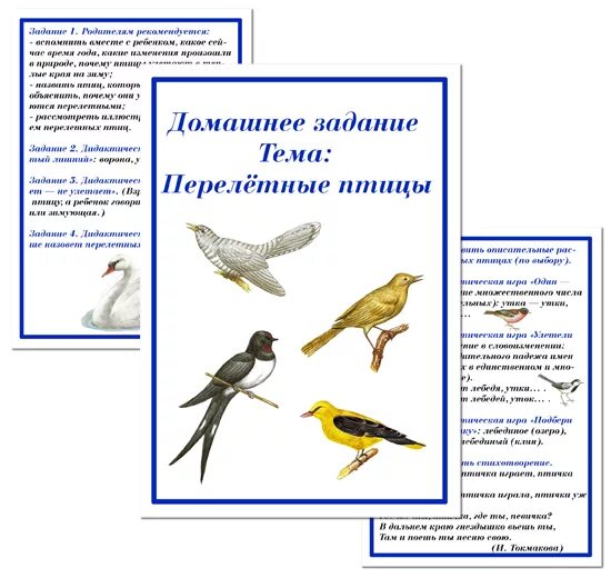 лексическая тема перелетные птицы старшая группа. тема недели теме перелетные птицы. тема недели теме перелетные птицы. тема недели теме перелетные птицы. перелетные птицы старшая группа.