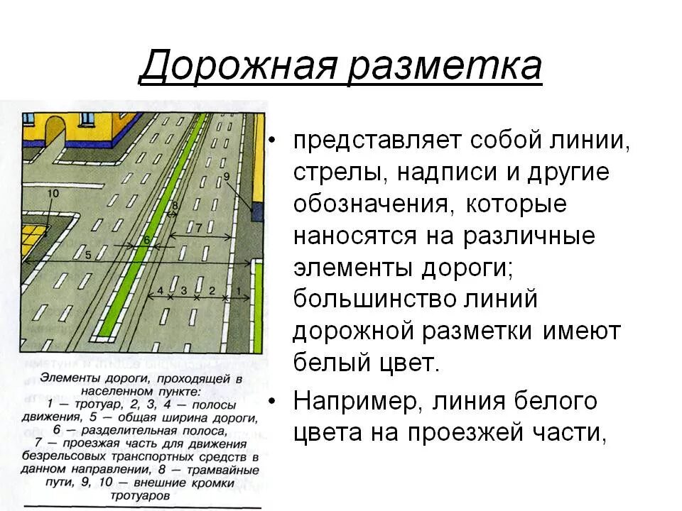 Что означает линии на дороге