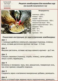 Можно кормить курей хлебом