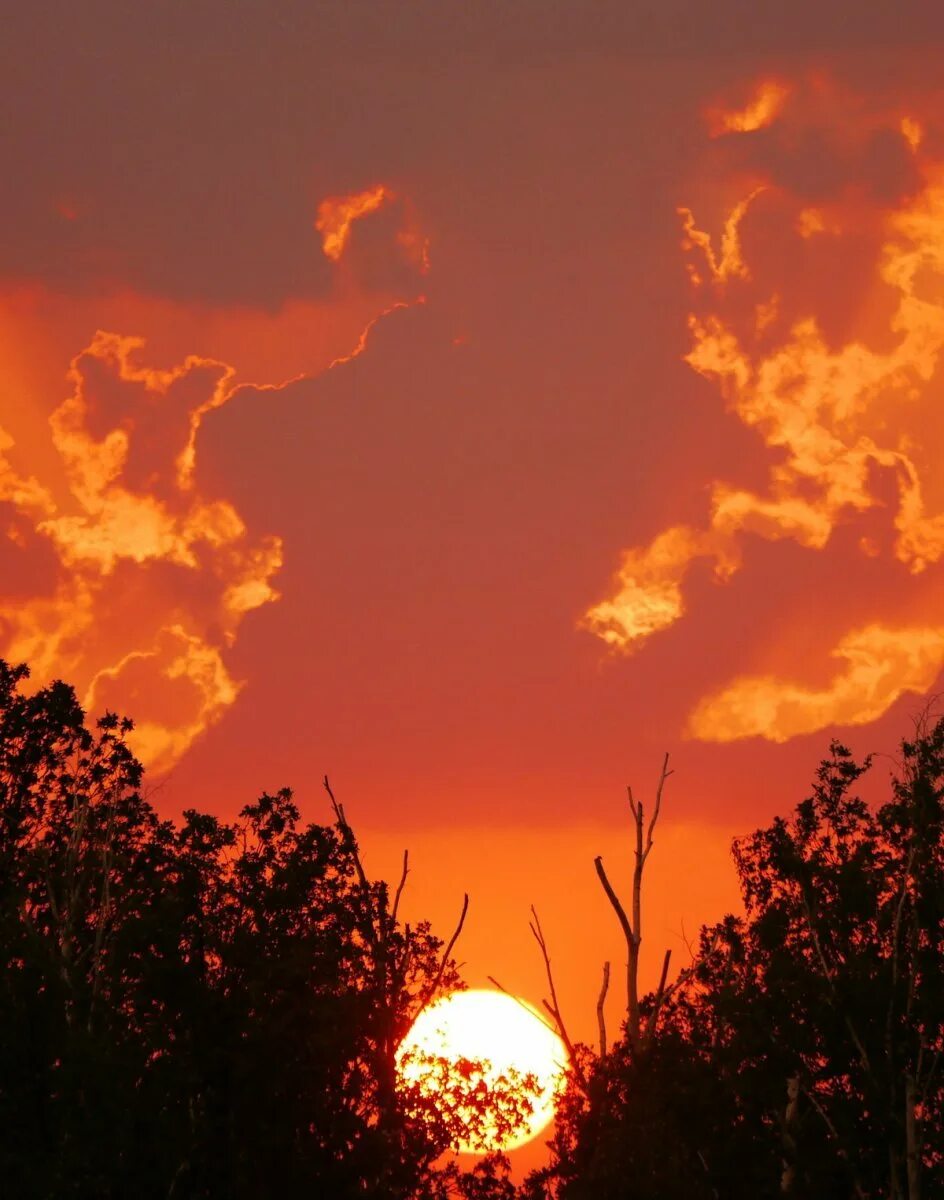Закат солнца. Горящее небо. Солнце в небе догорает. Солнце в облаках. Солнце вечером.
