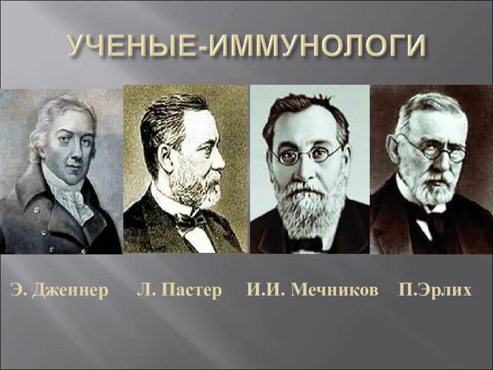 Мечников и эрлих