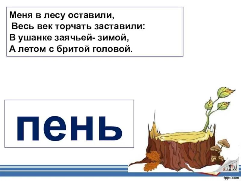 Цветущий пень. Ясень пень. Приколы со словом пень. Шутки про пень. Изображение пенька.