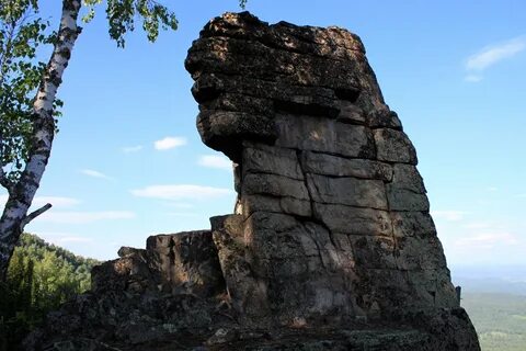Кортуз