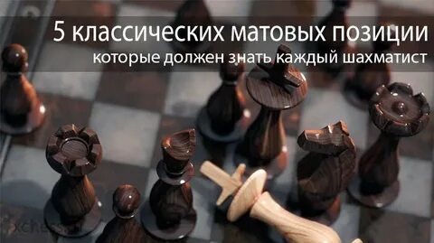 9 шахматная