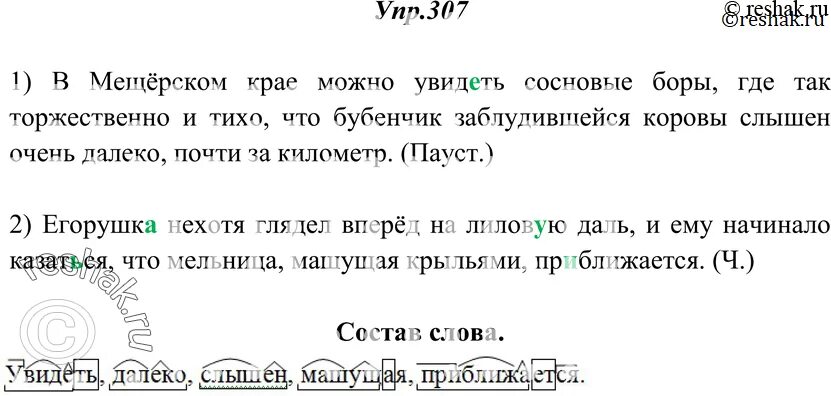 Впр в мещерском крае 7 класс. В Мещёрском крае можно увидеть сосновые боры. Упр 307. В Мещерском крае можно увидеть сосновые боры где так торжественно. В Мещёрском крае можно увидеть сосновые боры где.