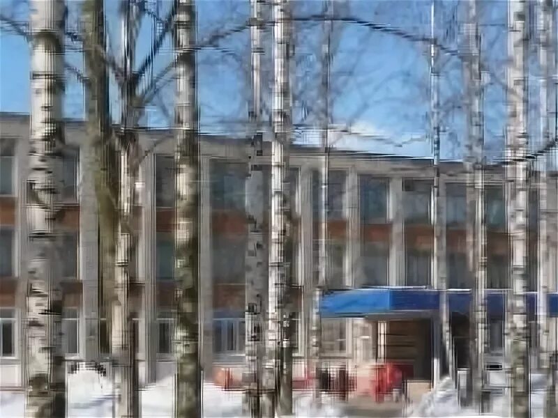 Центр образования 44. Школа 44 череповец. центр образования 44 г.череповец. 44 центр в череповце.