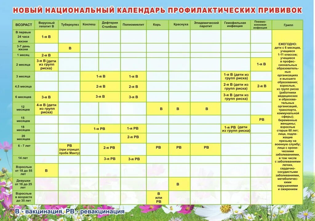 Прививки детям таблица Россия. Прививки в 2 года ребенку таблица прививок. Прививки в год ребенку таблица прививок 2022. График прививок для детей до 3 лет в России 2022 таблица. В садик какие прививки