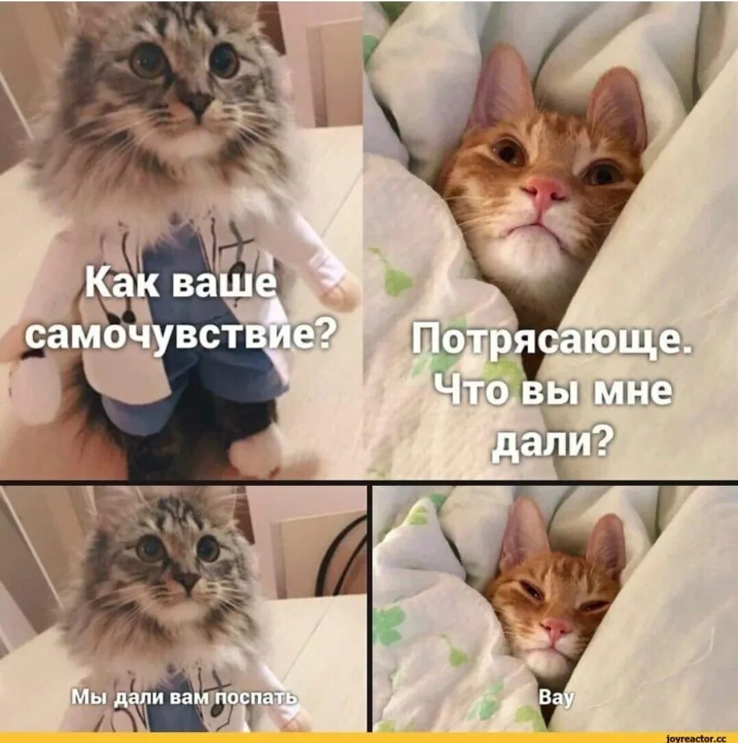 Что ответить на как состояние. Что ответить на вопрос как здоровье. Как дела как здоровье. Как дела как дела. Сообщение привет.