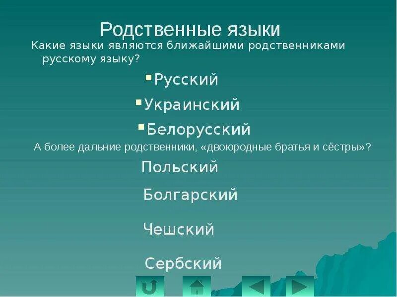 Ближайшие и дальние родственники. Родственные языки. Какие языки родственны. Степень родства языков. Какие языки называются родственными.