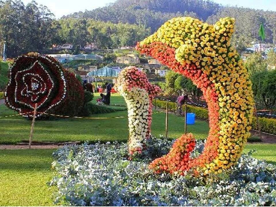 Развлечения цветов. Креативные цветы. Цветы сад искусства. Ooty фотографии. Flower Beds Sculptures.