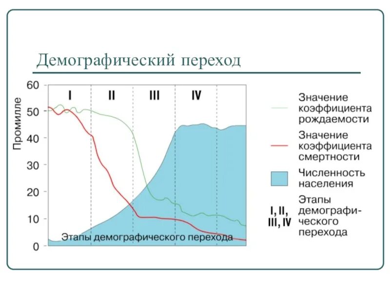 Демография какая география