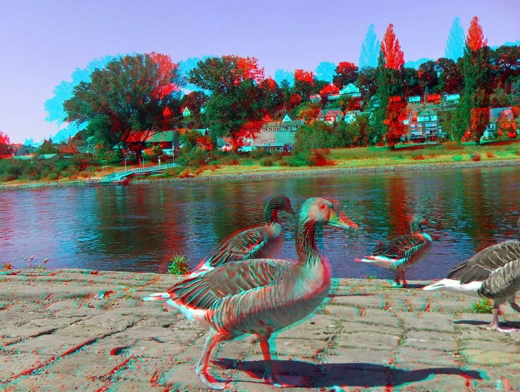 3d изображение. Анаглиф Red-Cyan. Анаглифные 3d очки анаглифные. Природа анаглиф. Красно синий анаглиф.