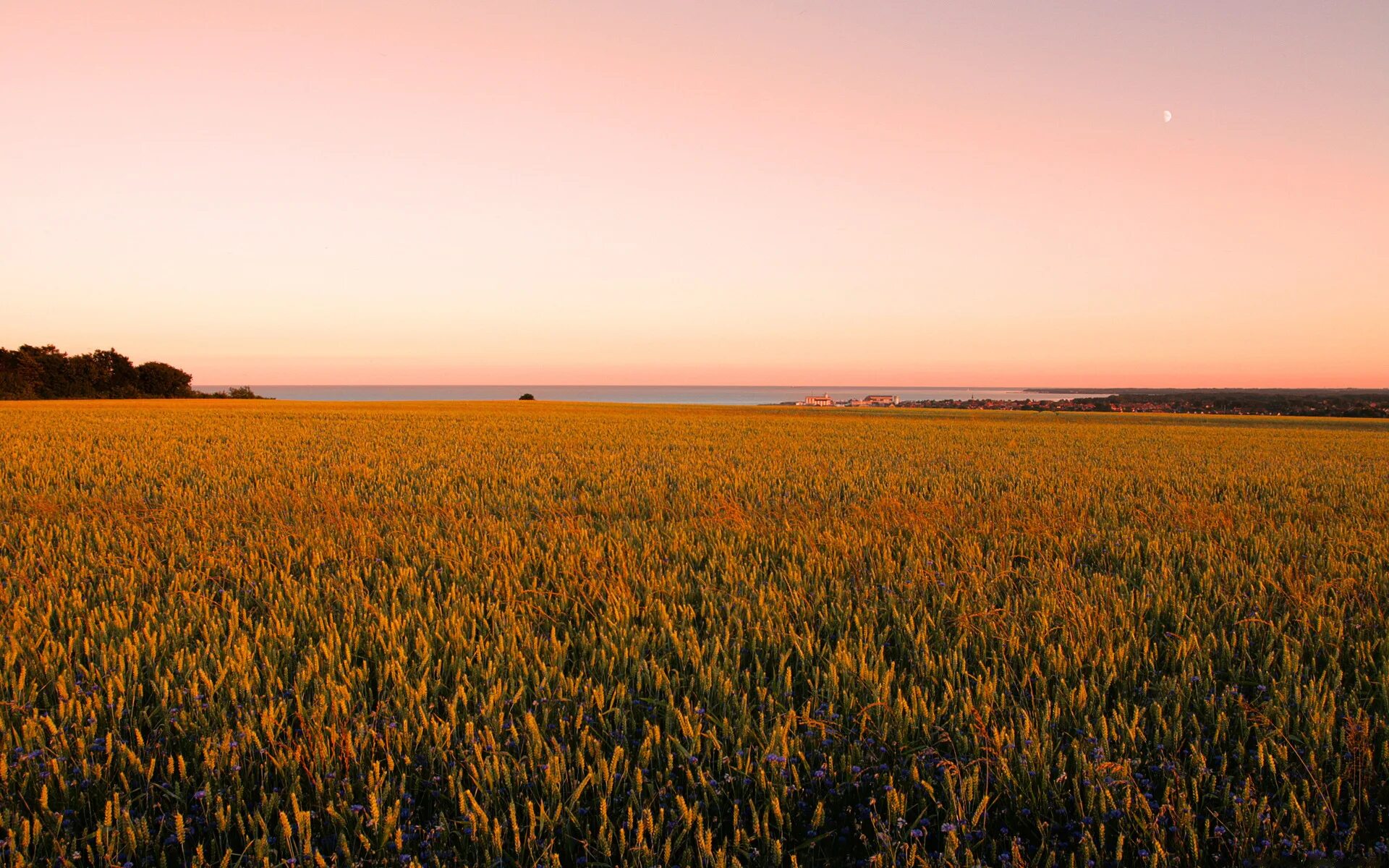 В поле. Бескрайние поля. Поле фото. Обои поле. Fields field html