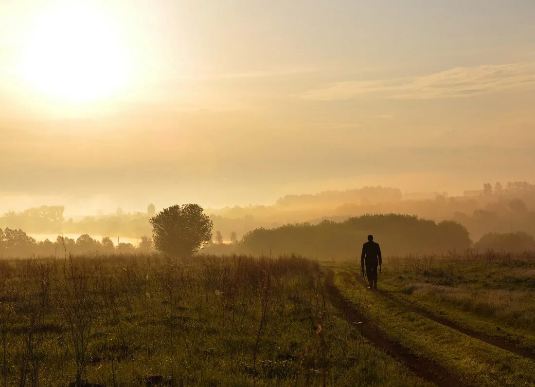 Рассвет в деревне летом. Дорога домой поезд. Поезд на закате. Дорога домой цитаты. Путь возвращения домой.