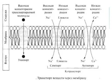 Активная мембрана
