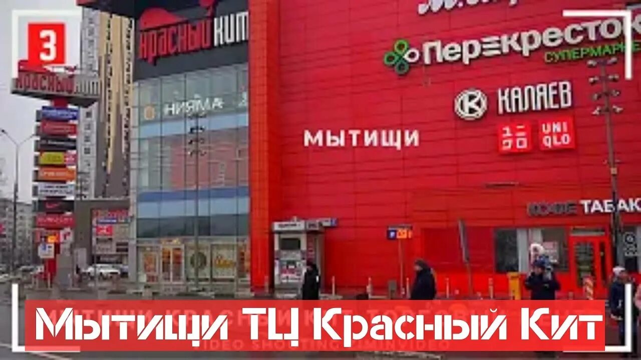 Красный кит мытищи телефон. ТЦ красный кит Мытищи. Станция Мытищи красный кит. Красный кит Мытищи 2023. Кинотеатр красный кит Мытищи.