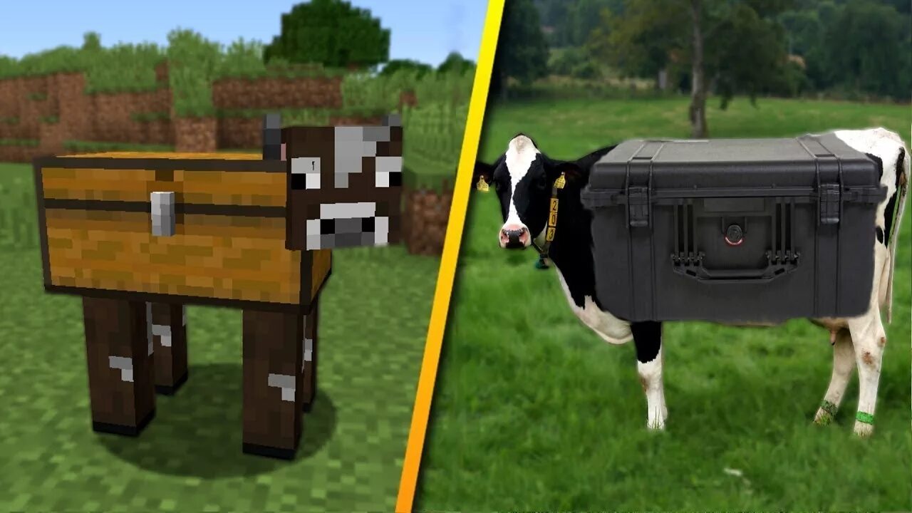 Что в майнкрафте есть корова. Корова в МАЙНКРАФТЕ. Корова из МАЙНКРАФТА. Корова из майна. Теленок майнкрафт.
